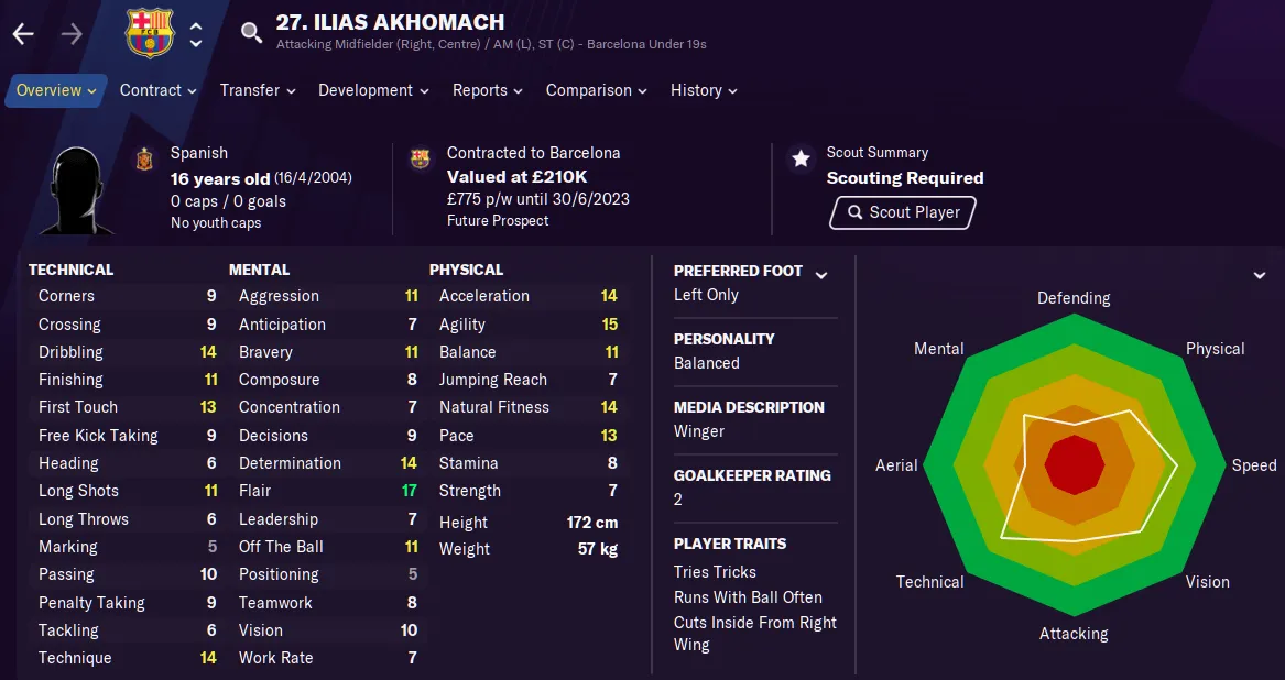 Football Manager 2021 Young Strikers