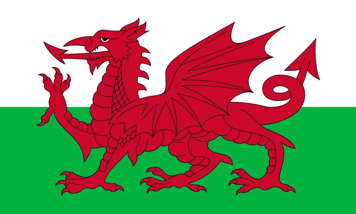 Football Manager will be translated into Welsh by players